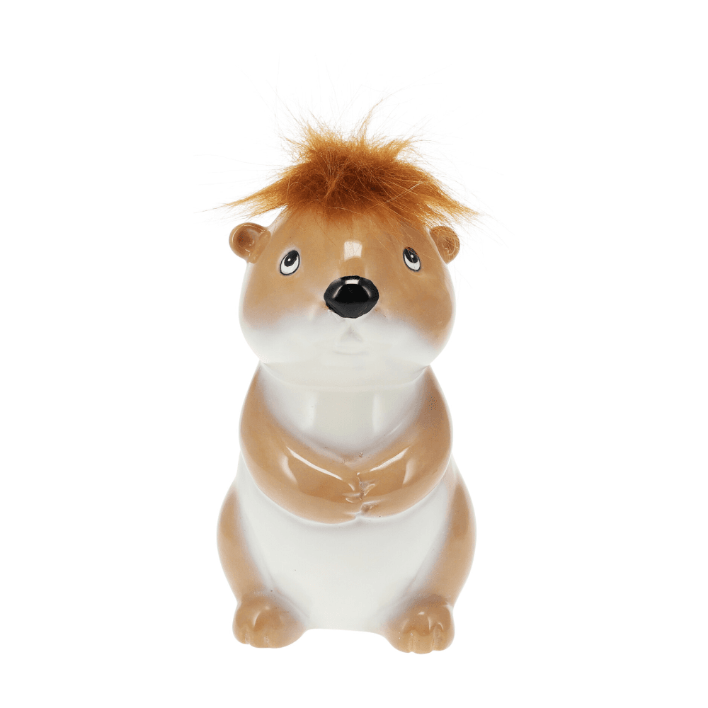 SPAARPOT MET HAAR - 6 ASSORTI